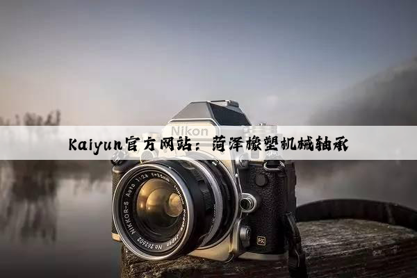 Kaiyun官方网站：菏泽橡塑机械轴承